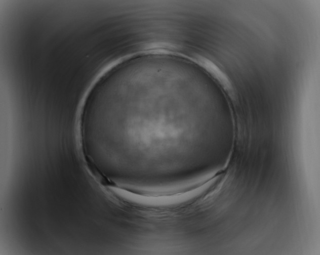 X0000092111384200710031223