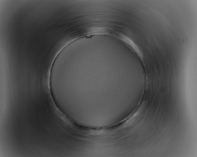 X0000092111386200710031223