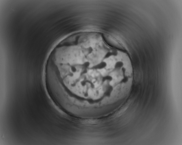 X0000092111387200710031223