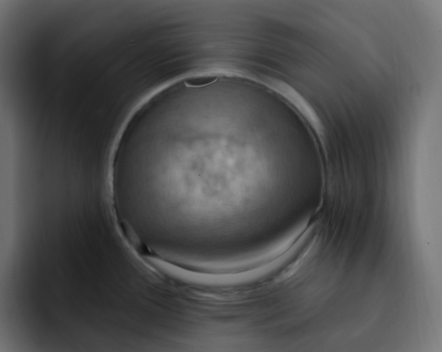 X0000092111388200710031223