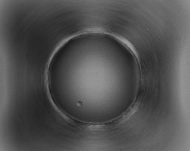 X0000092111389200710031223