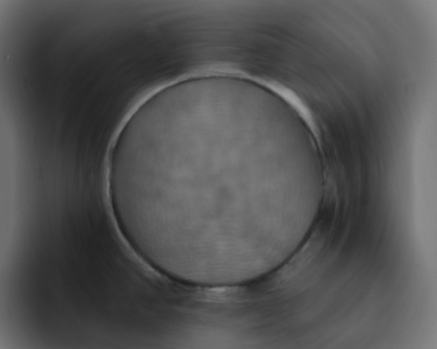 X0000092111390200710031223