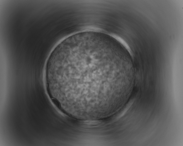 X0000092111391200710031223