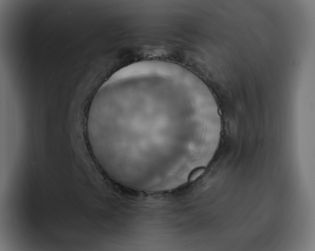 X0000092111393200710031222