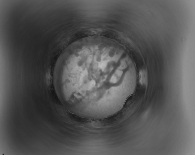 X0000092111395200710031222