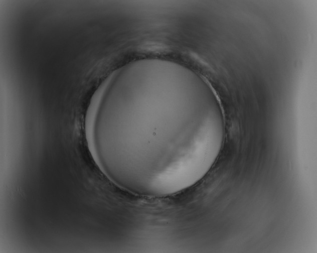 X0000092111397200710031222