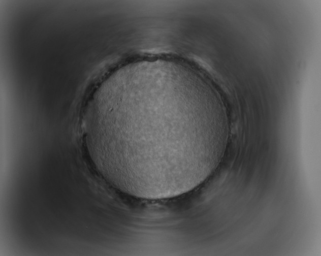 X0000092111398200710031222