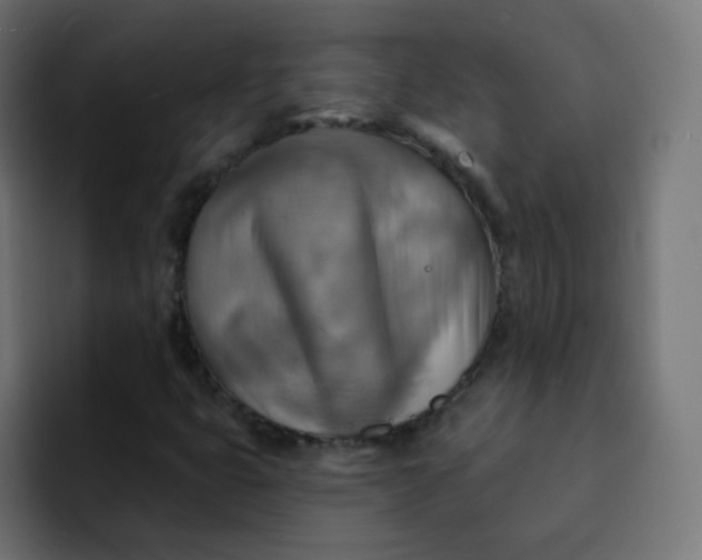 X0000092111399200710031222