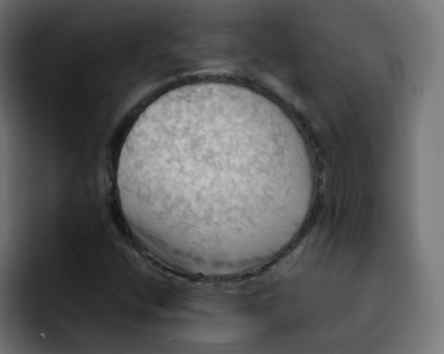 X0000092111400200710031222