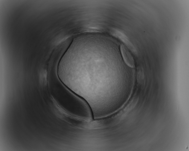 X0000092111402200710031222