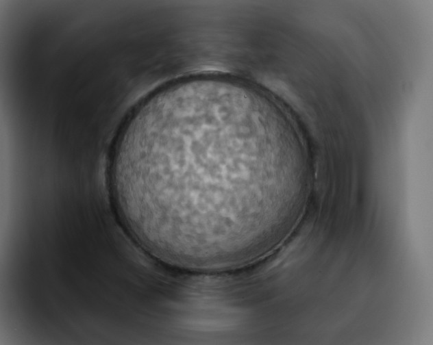 X0000092111404200710031222