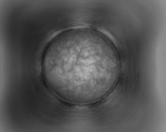 X0000092111407200710031222