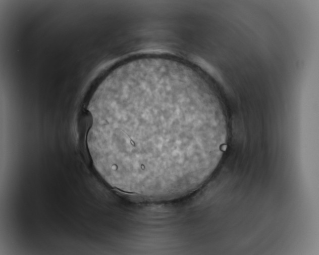 X0000092111408200710031222