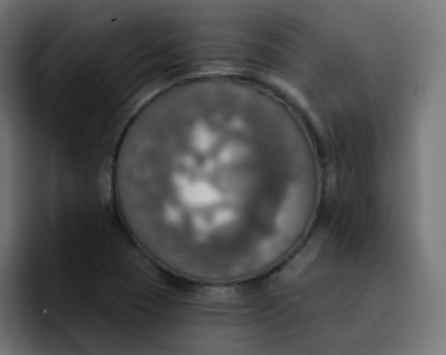 X0000092111409200710031222