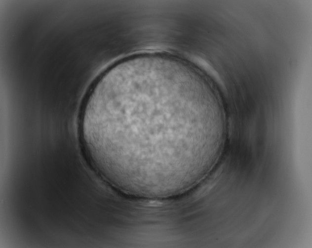 X0000092111412200710031222