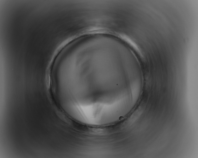 X0000092111413200710031222