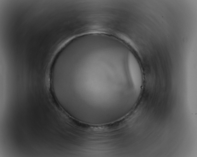 X0000092111415200710031222