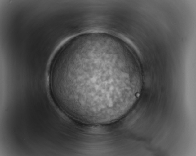 X0000092111416200710031222