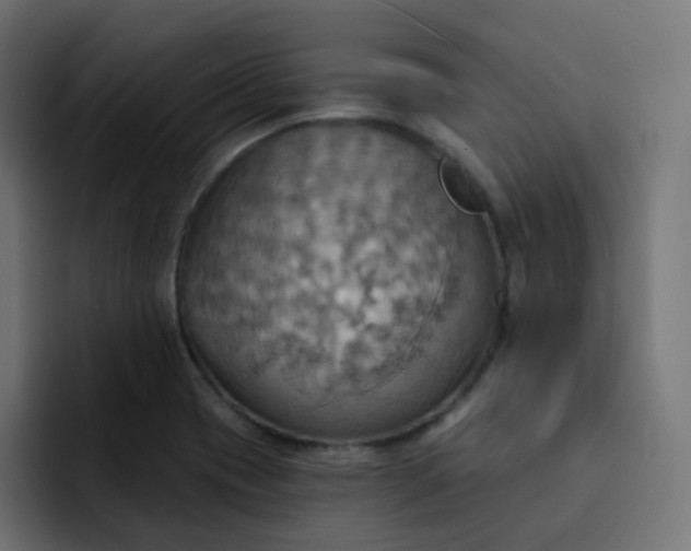 X0000092111417200710031222