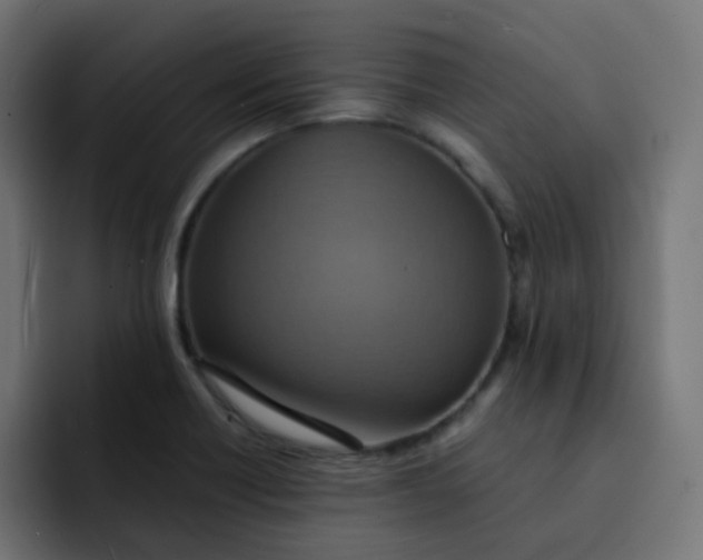 X0000092111418200710031222