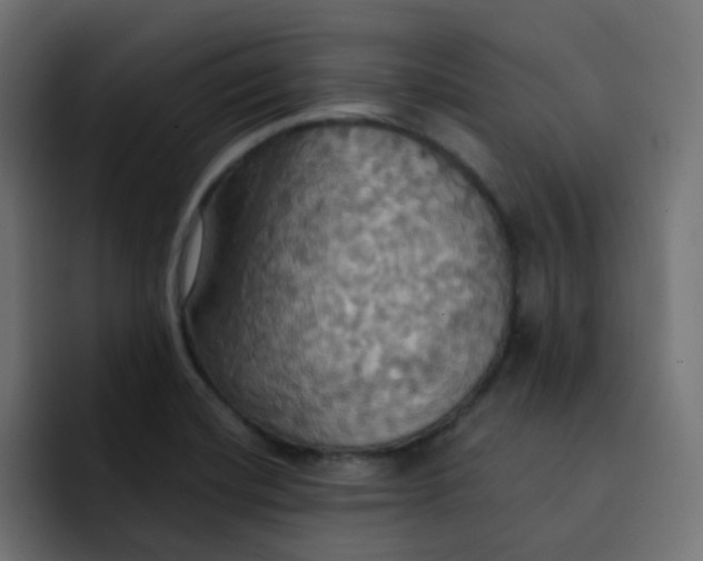 X0000092111420200710031222