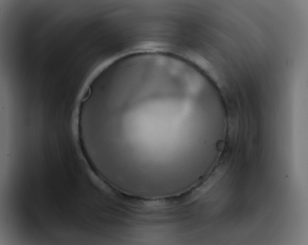 X0000092111421200710031222