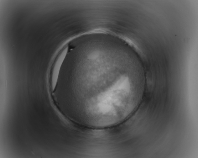 X0000092111422200710031222