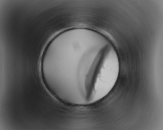 X0000092111424200710031222