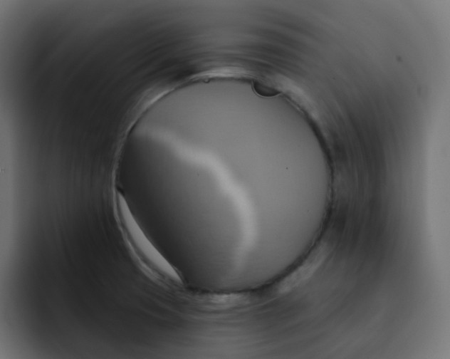 X0000092111425200710031222