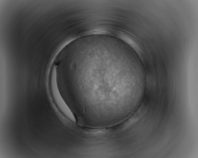 X0000092111426200710031222