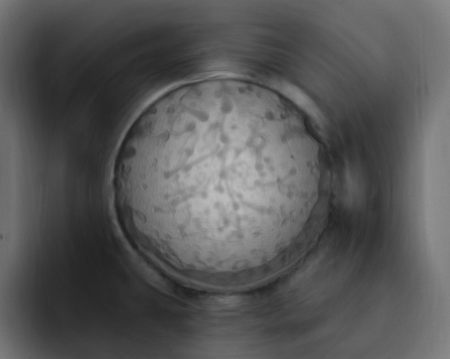 X0000092111431200710031222