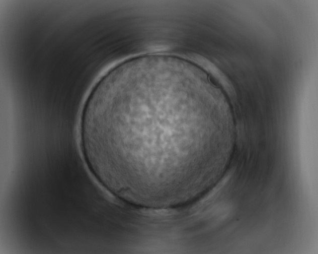 X0000092111432200710031222