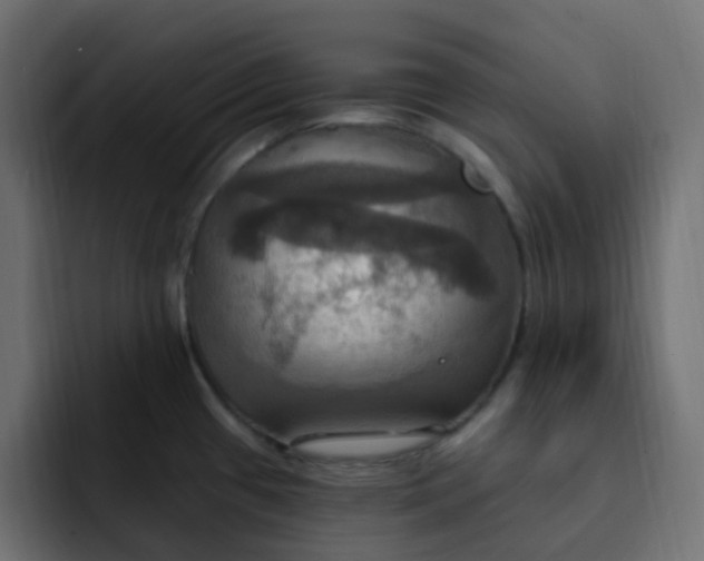 X0000092111433200710031223