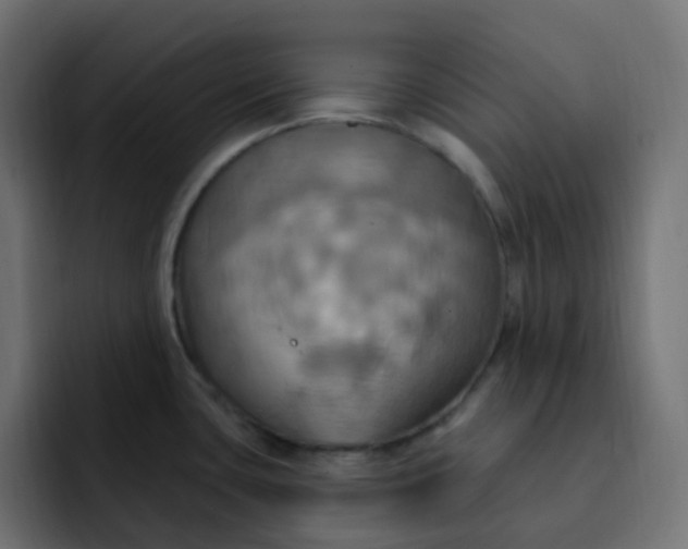 X0000092111435200710031223