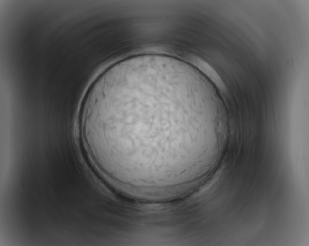 X0000092111436200710031223