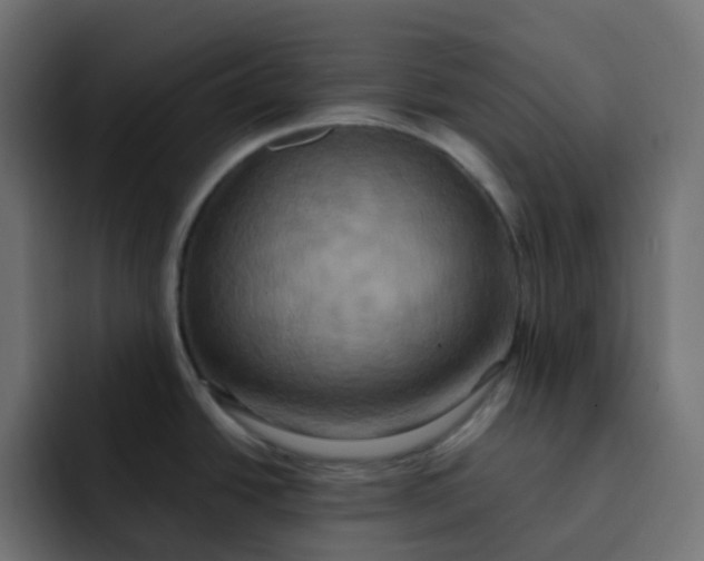 X0000092111438200710031223