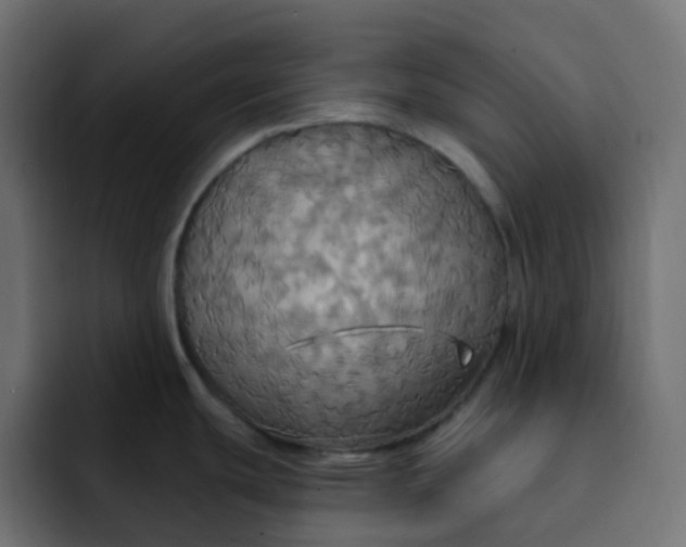 X0000092111439200710031223