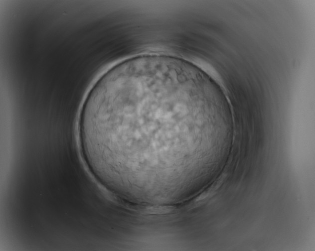 X0000092111440200710031223