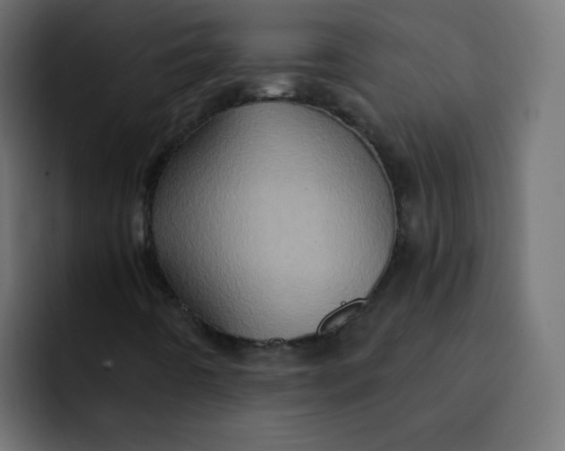 X0000092111442200710031222