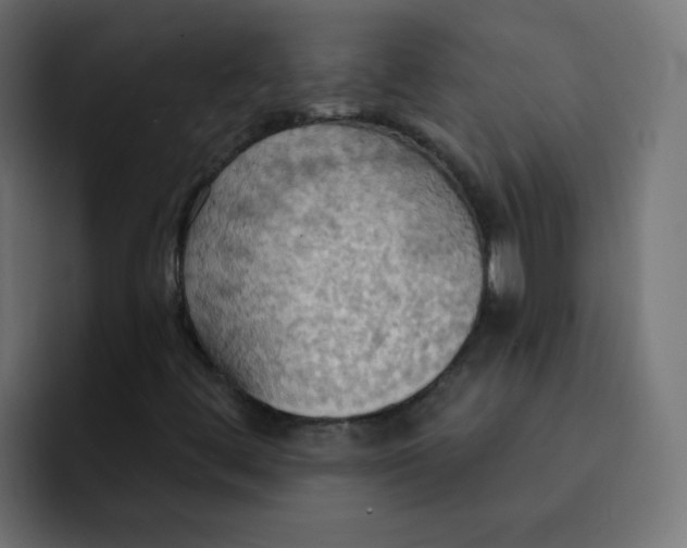 X0000092111444200710031222