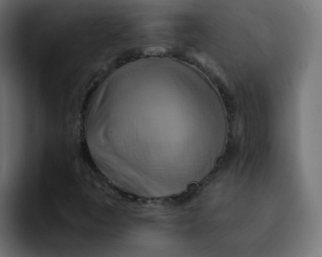 X0000092111445200710031222