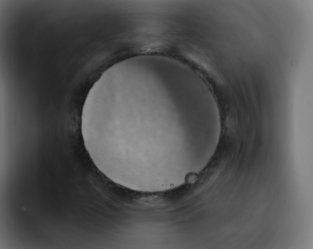 X0000092111447200710031222