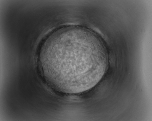 X0000092111448200710031222