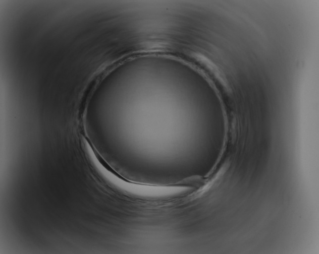 X0000092111449200710031222