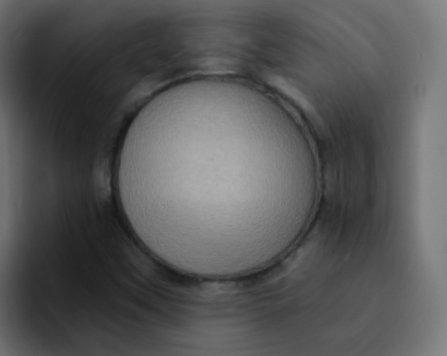 X0000092111451200710031222