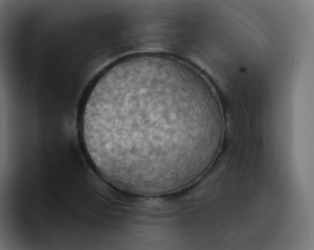 X0000092111452200710031222