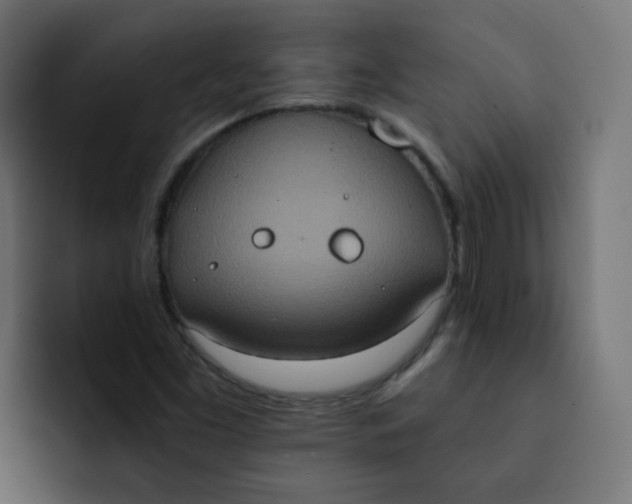 X0000092111453200710031222