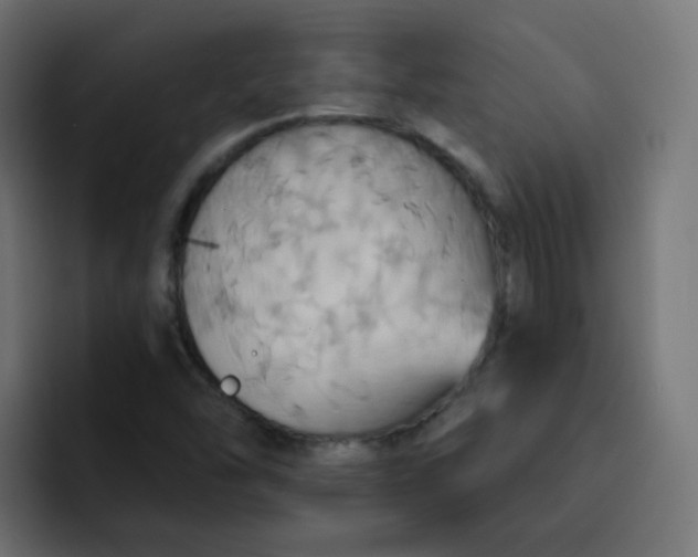 X0000092111454200710031222