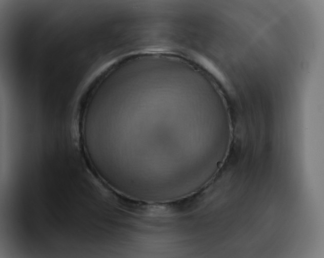 X0000092111456200710031222