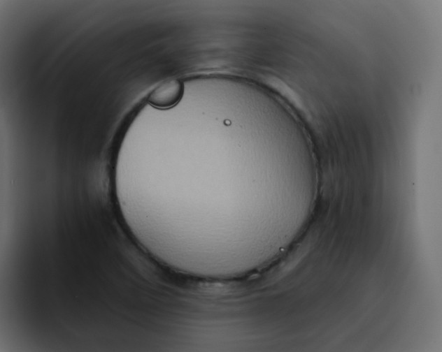 X0000092111458200710031222